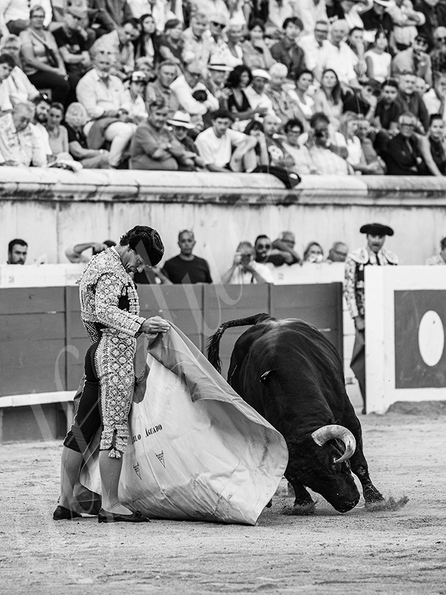 20250920 nimes by alfaduende 029