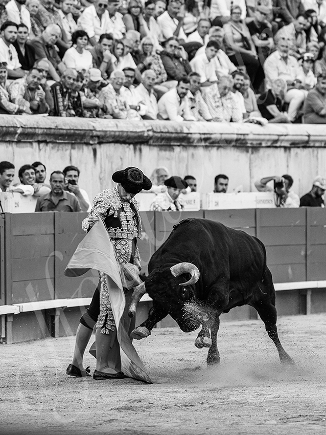 20250920 nimes by alfaduende 028