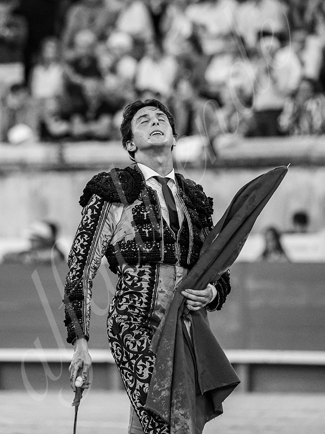 20250920 nimes by alfaduende 027