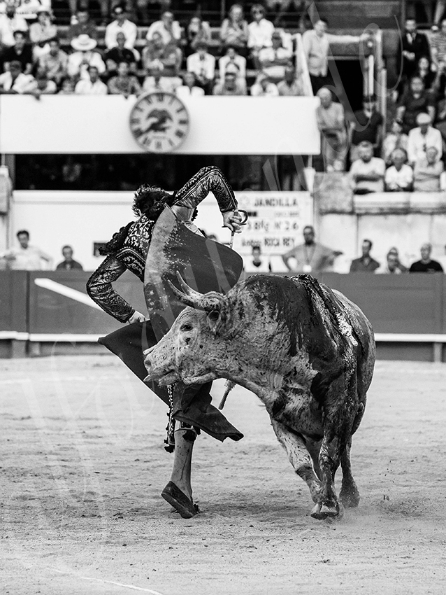 20250920 nimes by alfaduende 026