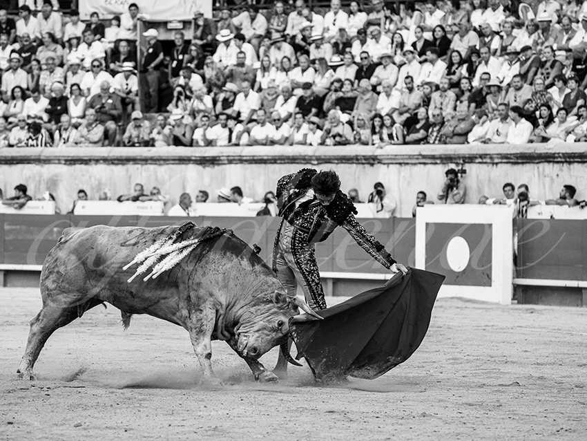 20250920 nimes by alfaduende 025