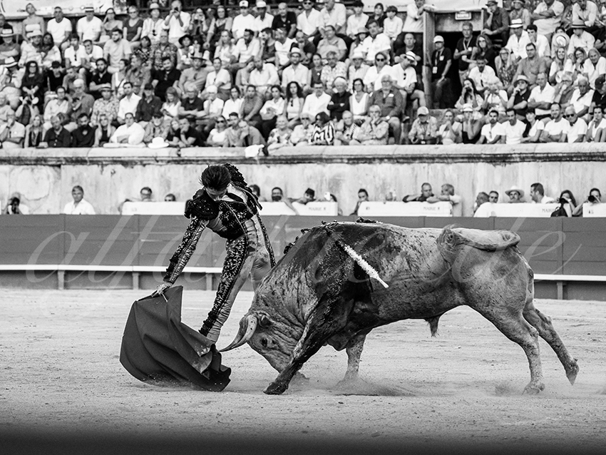 20250920 nimes by alfaduende 024