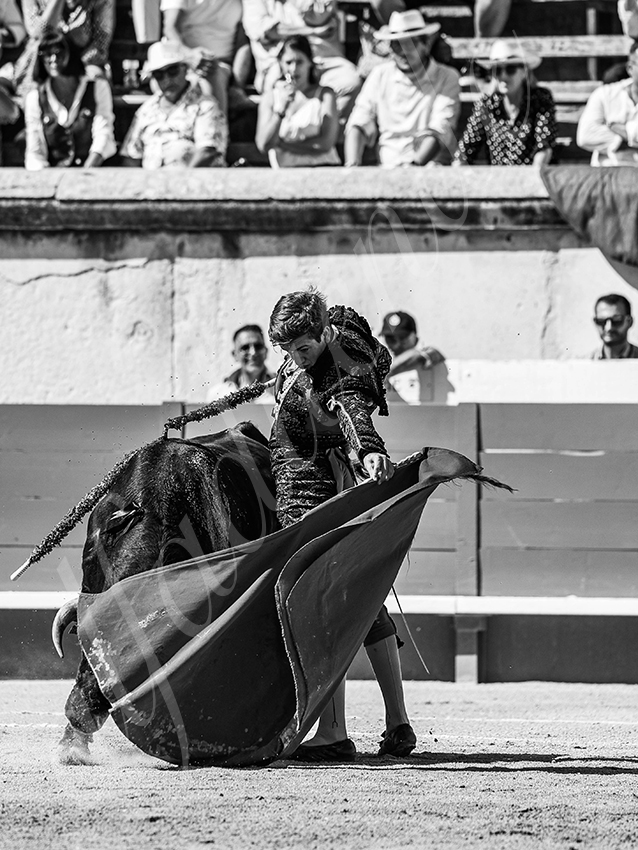 20250920 nimes nov by alfaduende 010