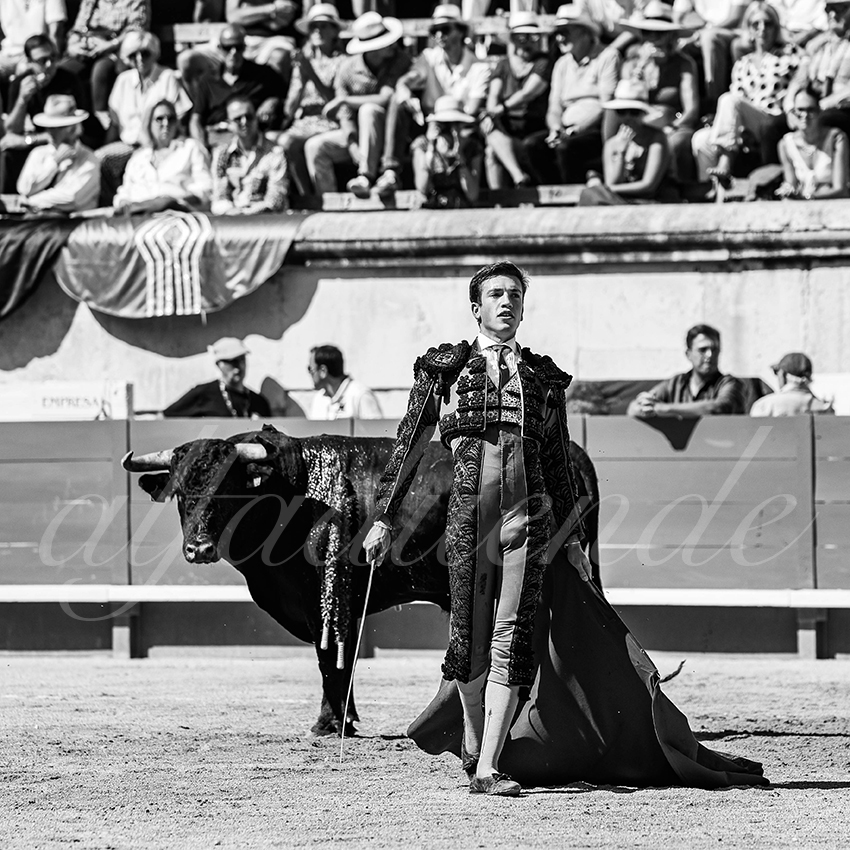 20250920 nimes nov by alfaduende 009