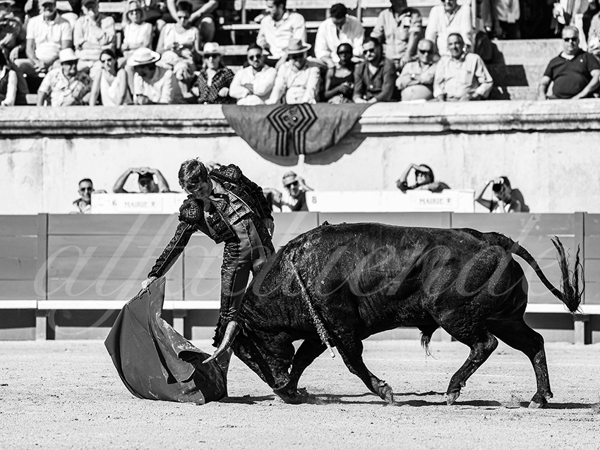 20250920 nimes nov by alfaduende 008