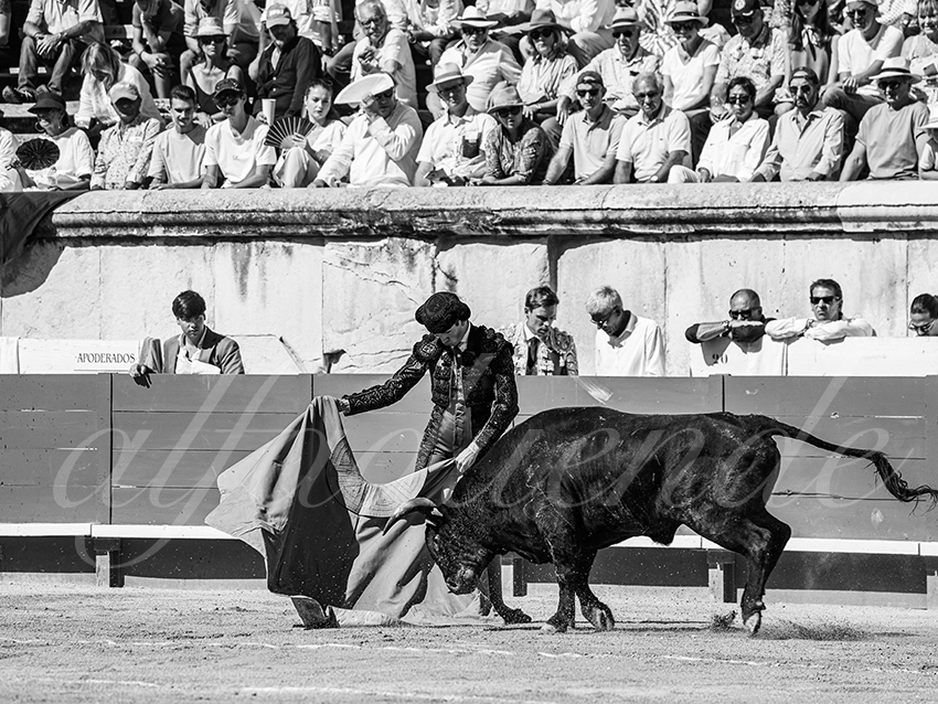 20250920 nimes nov by alfaduende 007