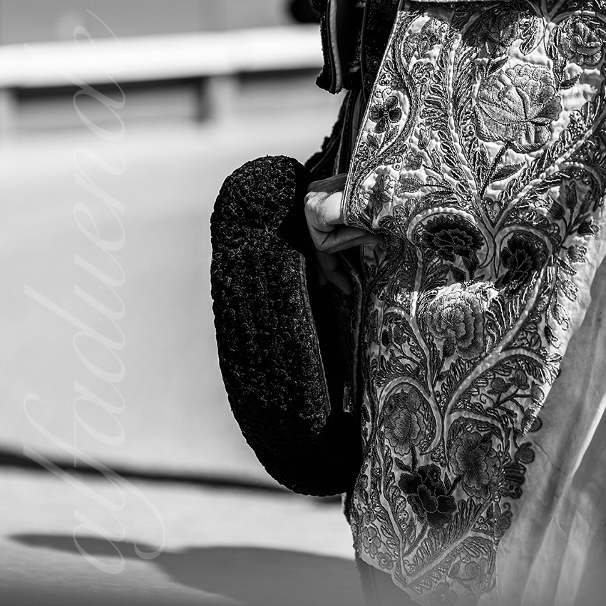 20250920 nimes nov by alfaduende 005