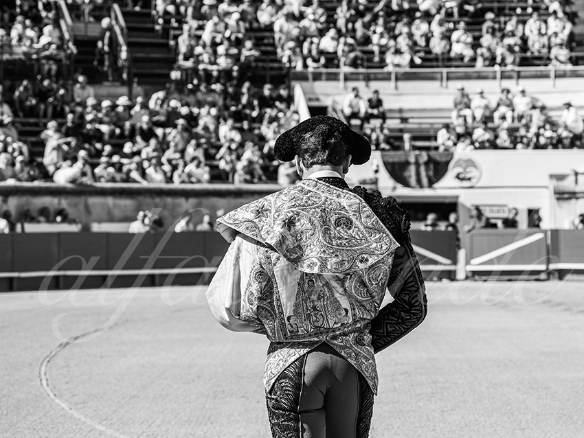 20250920 nimes nov by alfaduende 002