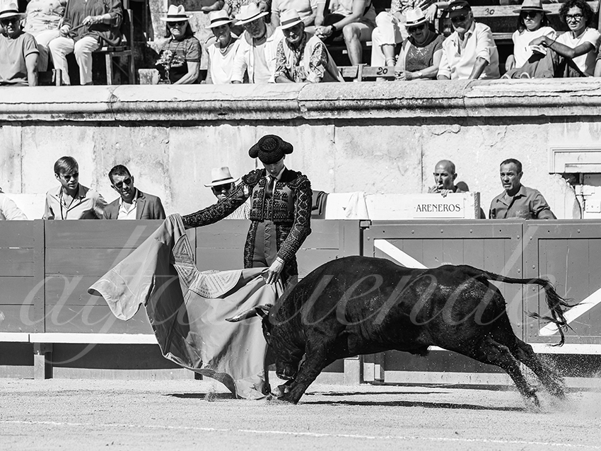 20250920 nimes nov by alfaduende 020