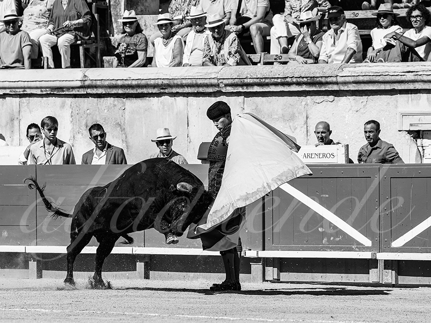 20250920 nimes nov by alfaduende 019