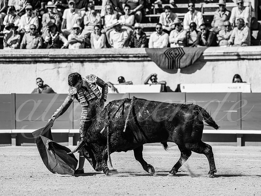 20250920 nimes nov by alfaduende 017