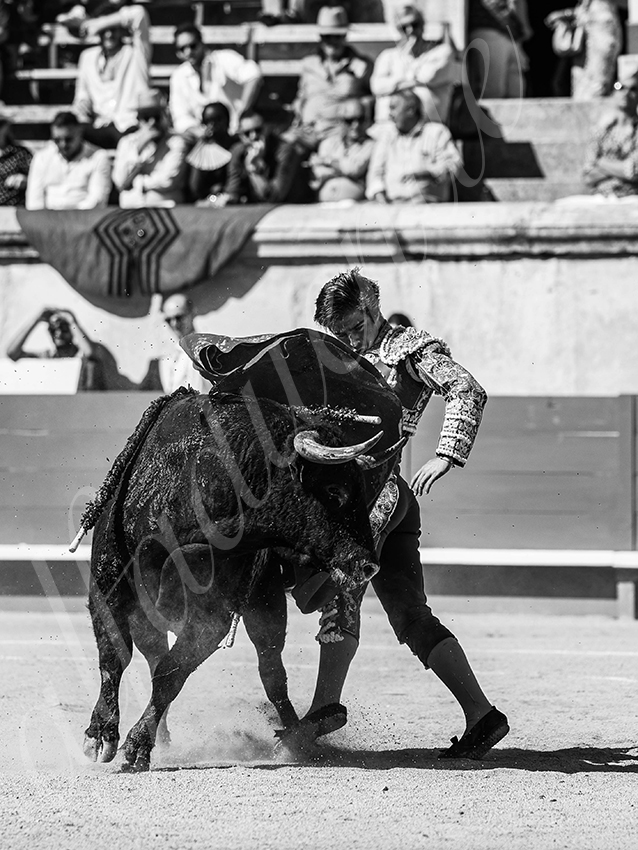 20250920 nimes nov by alfaduende 016