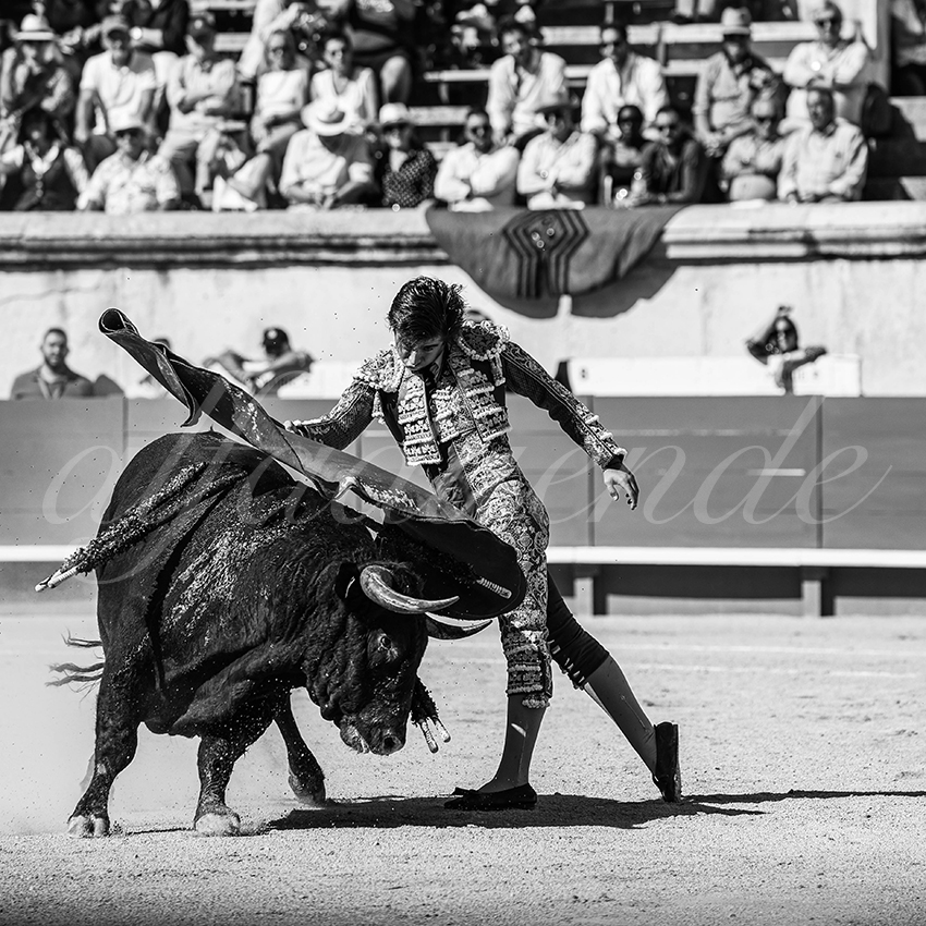 20250920 nimes nov by alfaduende 015