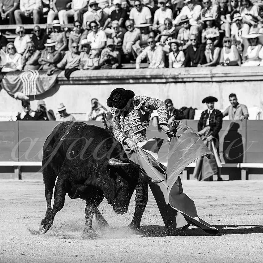 20250920 nimes nov by alfaduende 014