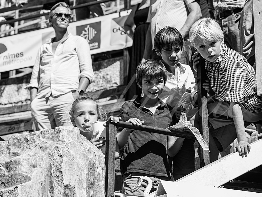 20250920 nimes nov by alfaduende 013