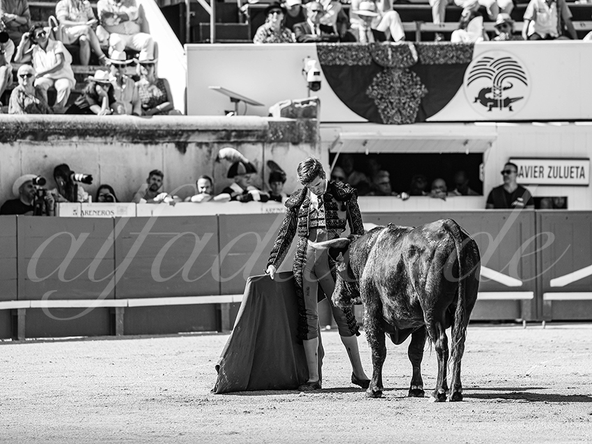 20250920 nimes nov by alfaduende 012