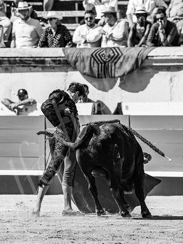 20250920 nimes nov by alfaduende 011