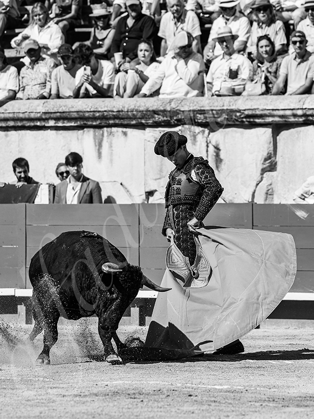 20250920 nimes nov by alfaduende 021