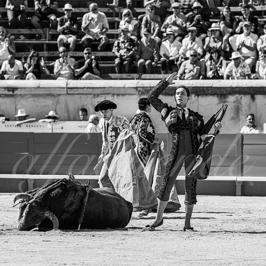 20250920 nimes nov by alfaduende 034