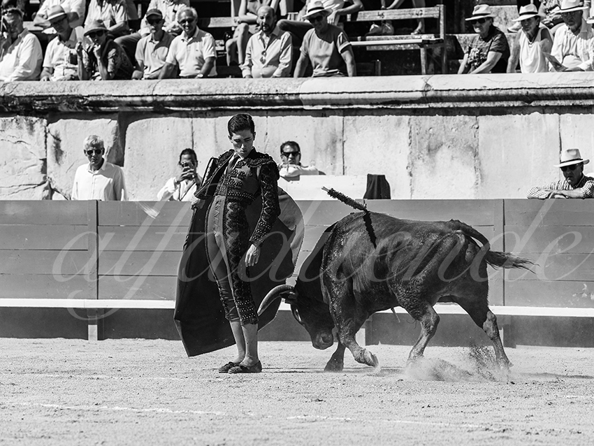 20250920 nimes nov by alfaduende 032