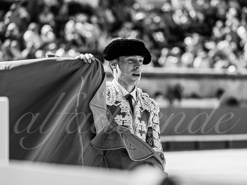 20250920 nimes nov by alfaduende 029