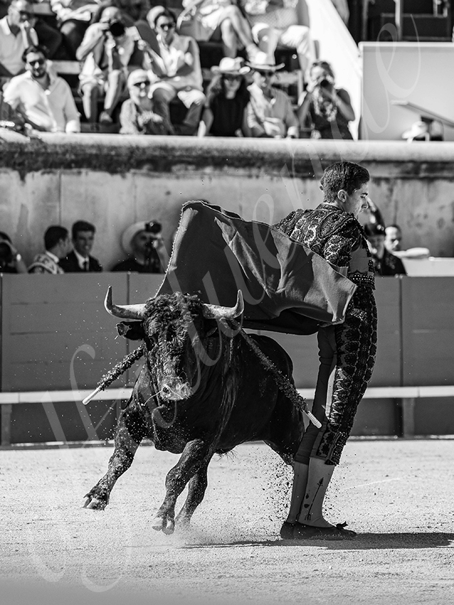 20250920 nimes nov by alfaduende 028