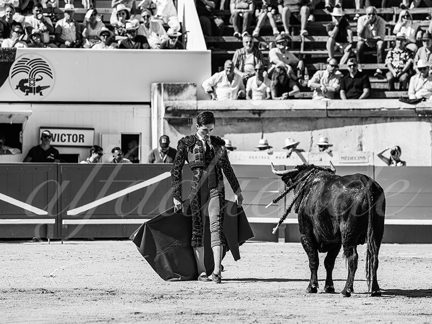 20250920 nimes nov by alfaduende 027