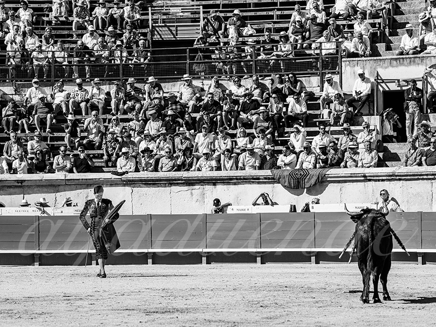 20250920 nimes nov by alfaduende 026