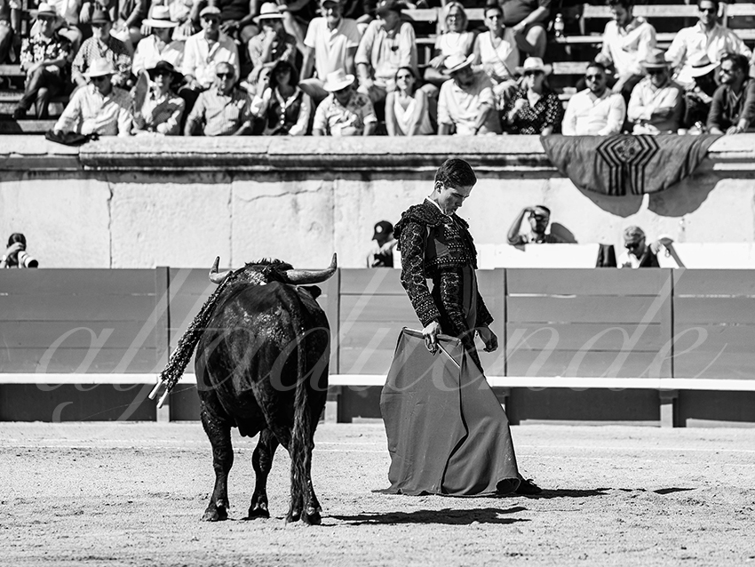 20250920 nimes nov by alfaduende 024