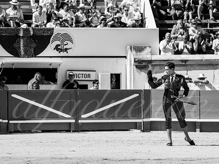 20250920 nimes nov by alfaduende 023