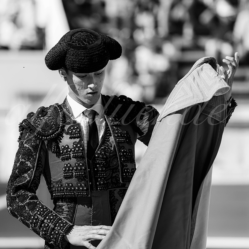 20250920 nimes nov by alfaduende 022