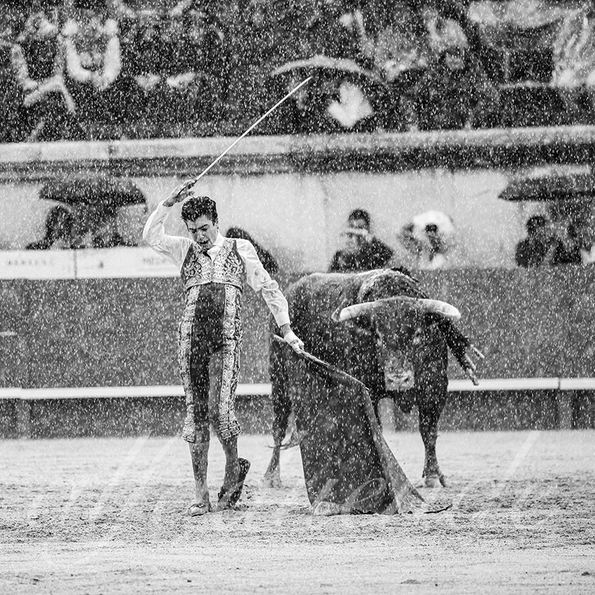 20250921 nimes nov by alfaduende 012