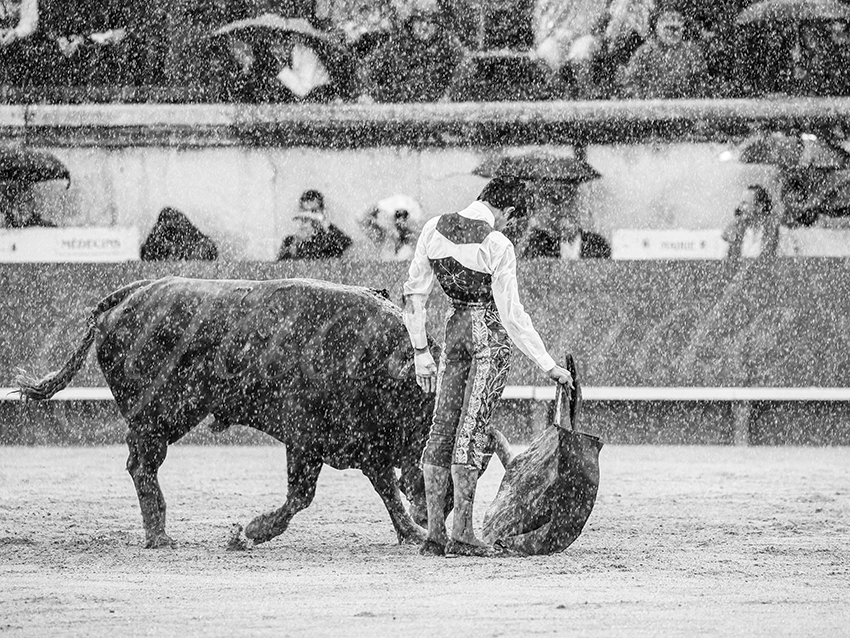 20250921 nimes nov by alfaduende 011