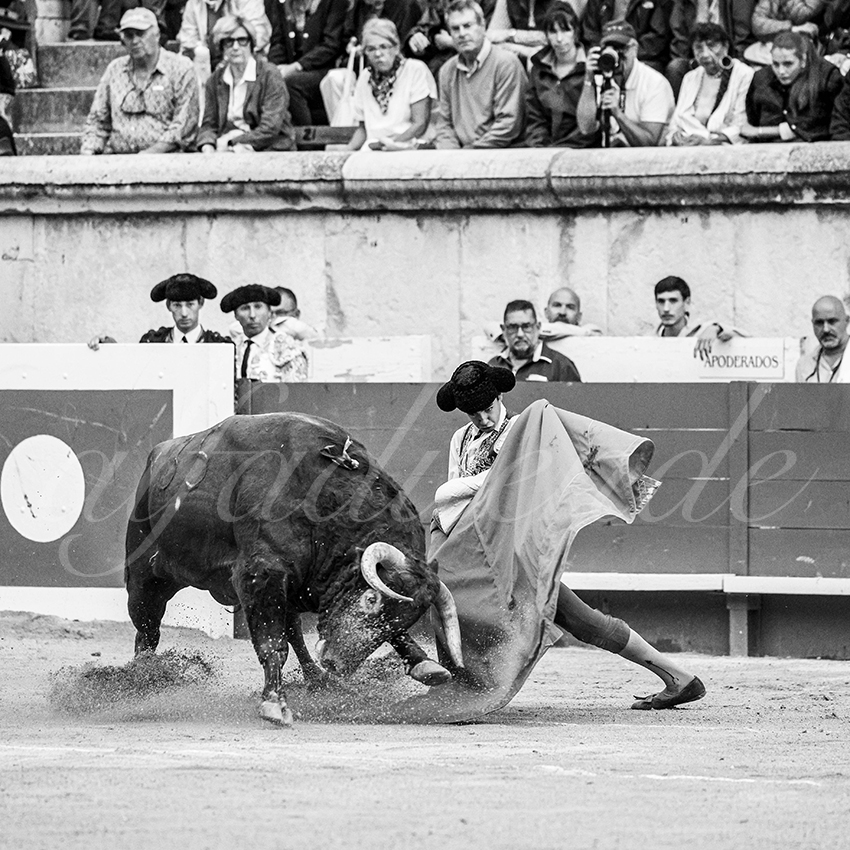 20250921 nimes nov by alfaduende 010