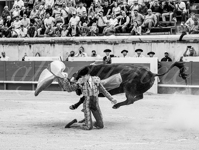 20250921 nimes nov by alfaduende 009