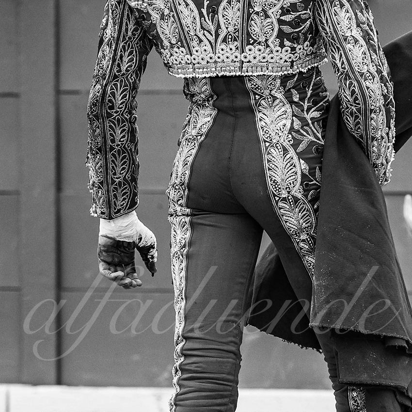 20250921 nimes nov by alfaduende 008