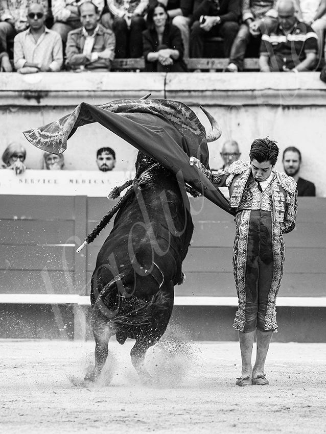 20250921 nimes nov by alfaduende 007