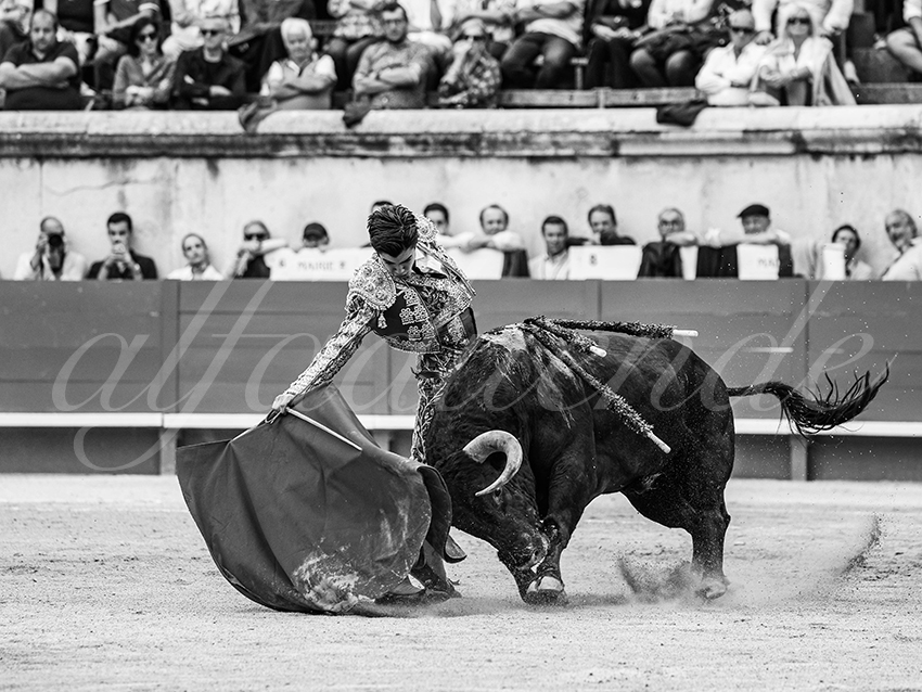 20250921 nimes nov by alfaduende 006