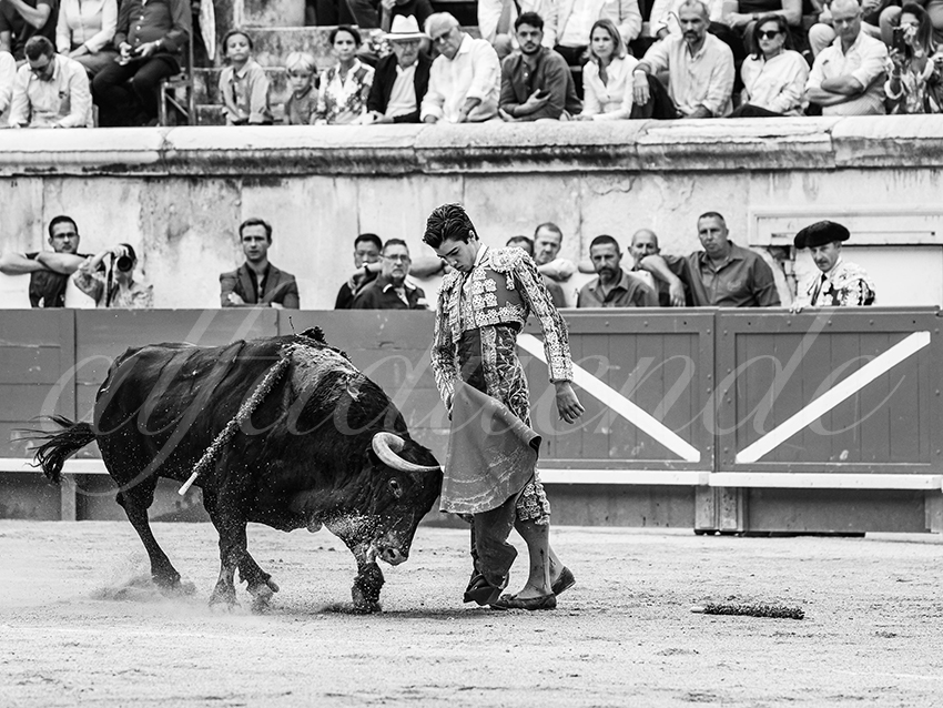 20250921 nimes nov by alfaduende 005