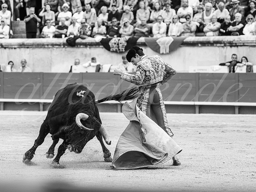 20250921 nimes nov by alfaduende 003