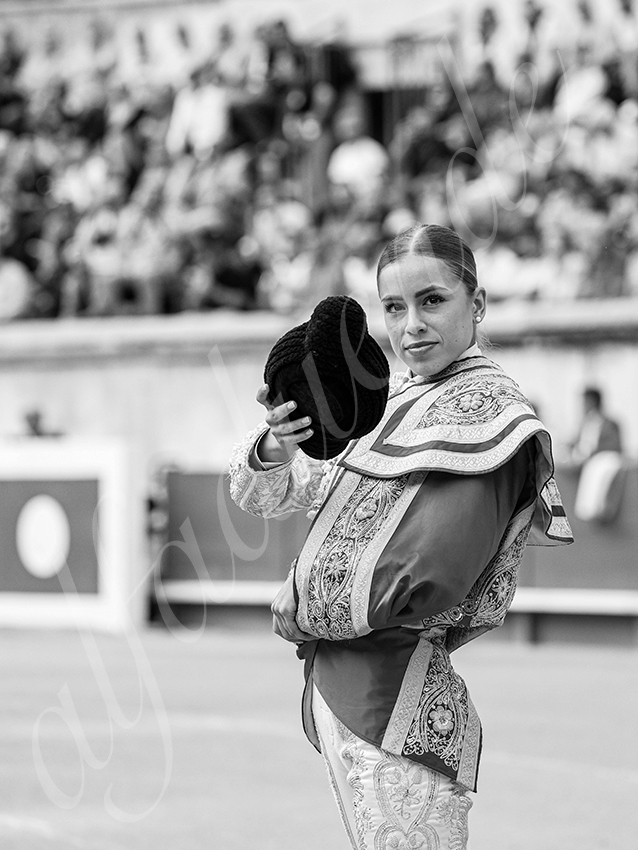 20250921 nimes nov by alfaduende 001