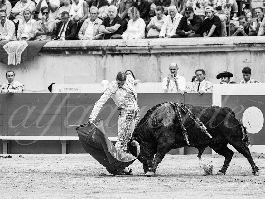 20250921 nimes nov by alfaduende 023