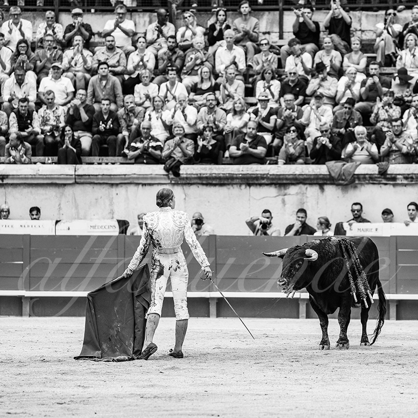 20250921 nimes nov by alfaduende 022