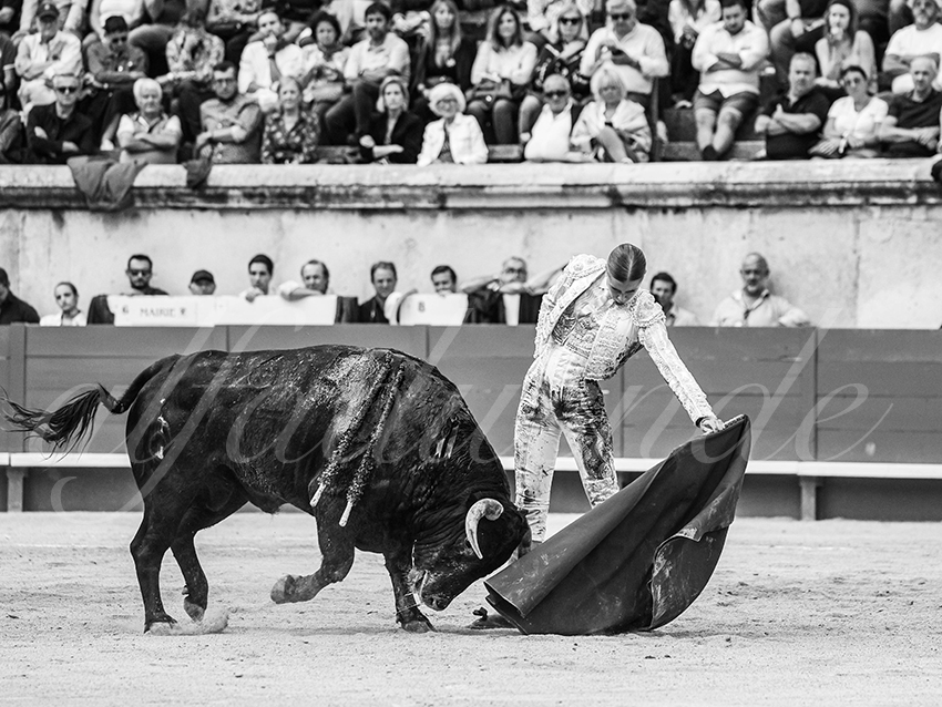 20250921 nimes nov by alfaduende 021