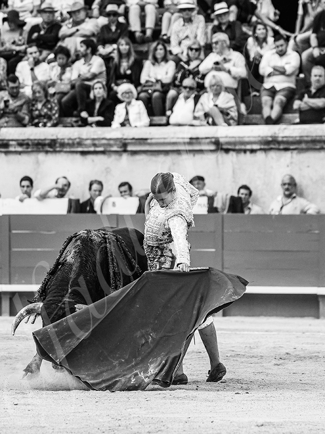 20250921 nimes nov by alfaduende 020