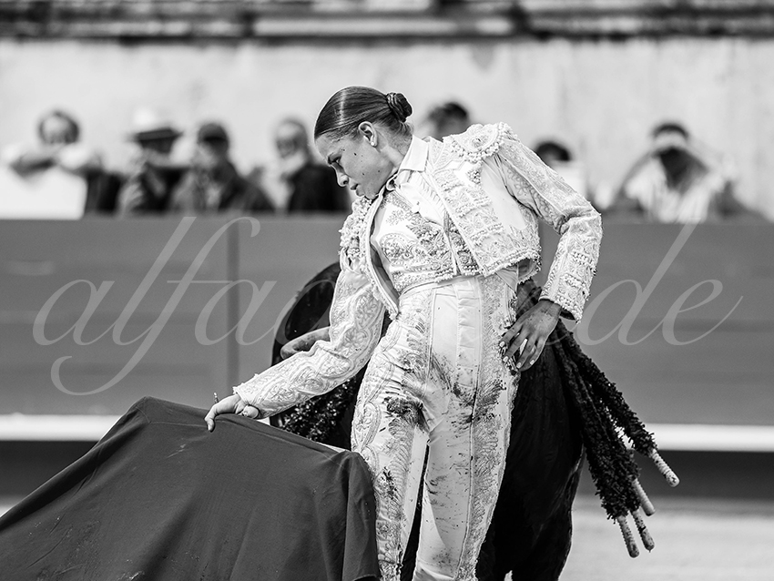 20250921 nimes nov by alfaduende 019