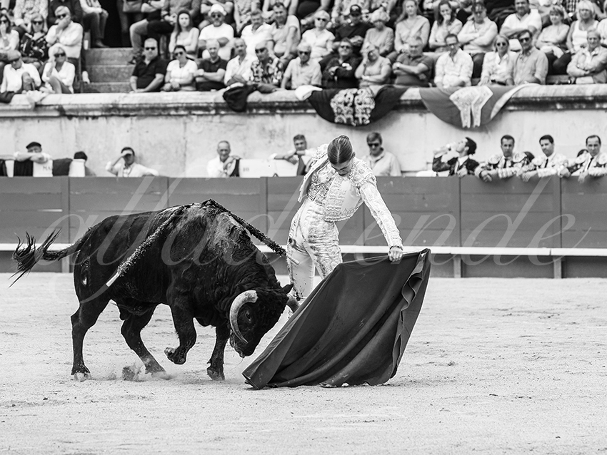 20250921 nimes nov by alfaduende 018