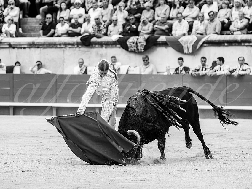 20250921 nimes nov by alfaduende 017