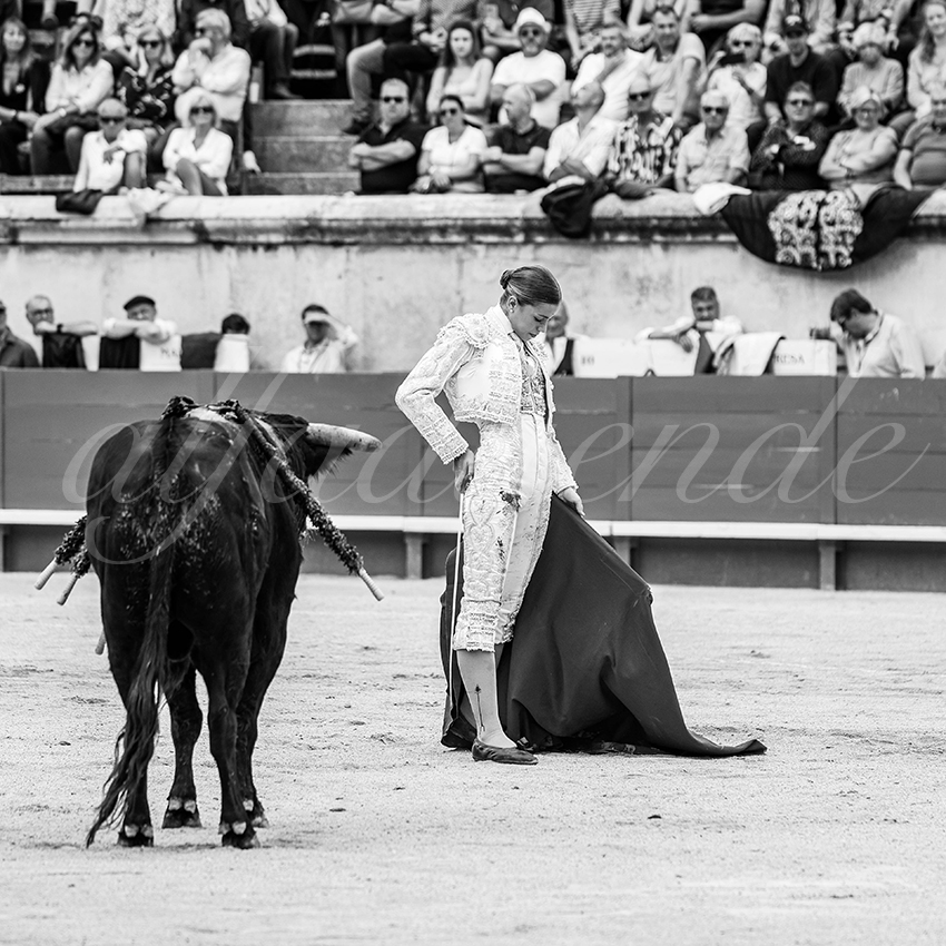 20250921 nimes nov by alfaduende 016