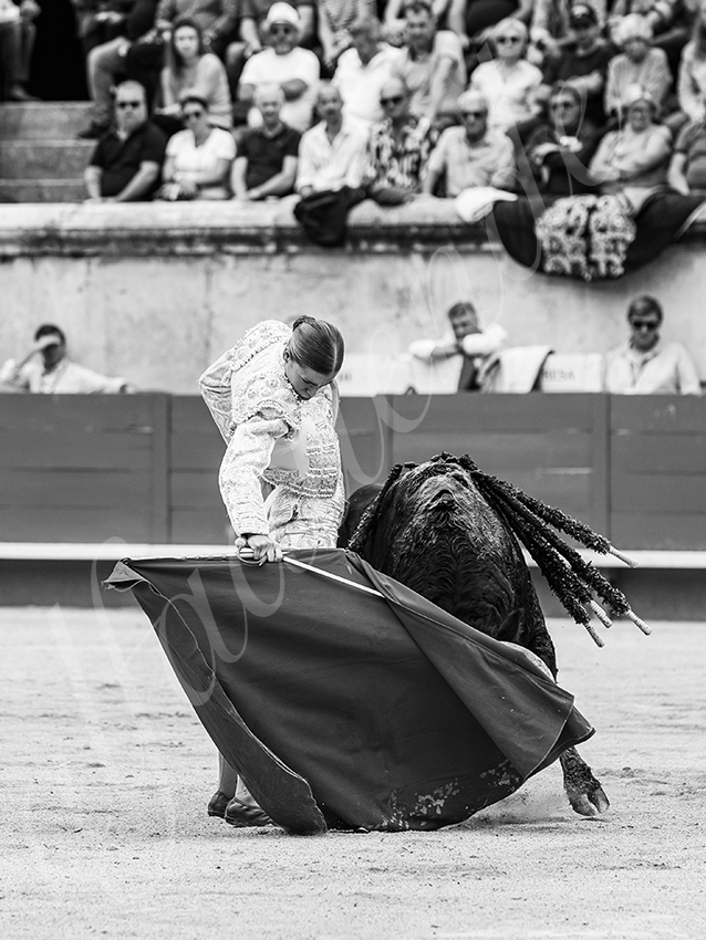 20250921 nimes nov by alfaduende 015